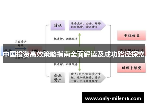 中国投资高效策略指南全面解读及成功路径探索
