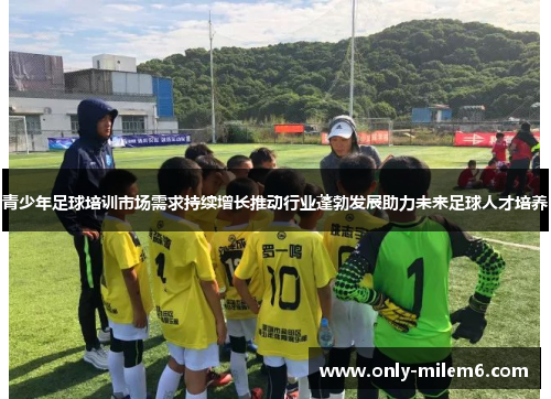 青少年足球培训市场需求持续增长推动行业蓬勃发展助力未来足球人才培养 青少年足球培训市场需求持续增长推动行业蓬勃发展助力未来足球人才培养