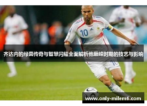 齐达内的绿茵传奇与智慧闪耀全面解析他巅峰时期的技艺与影响